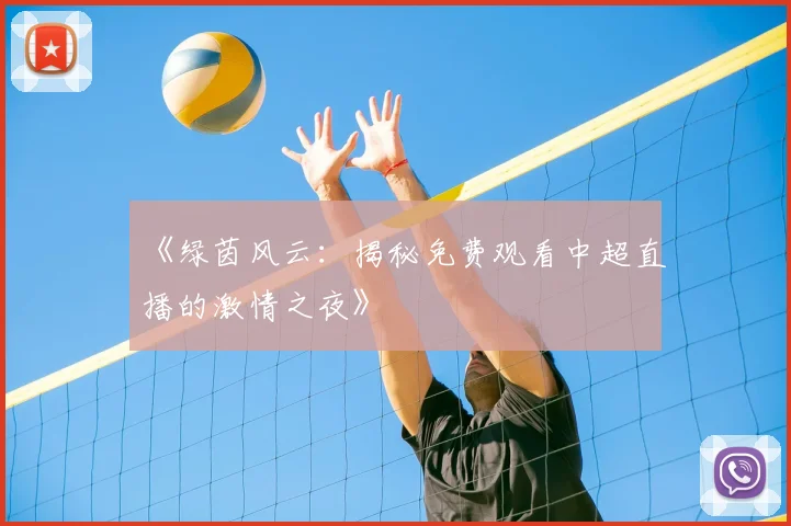 《绿茵风云:揭秘免费观看中超直播的激情之夜》